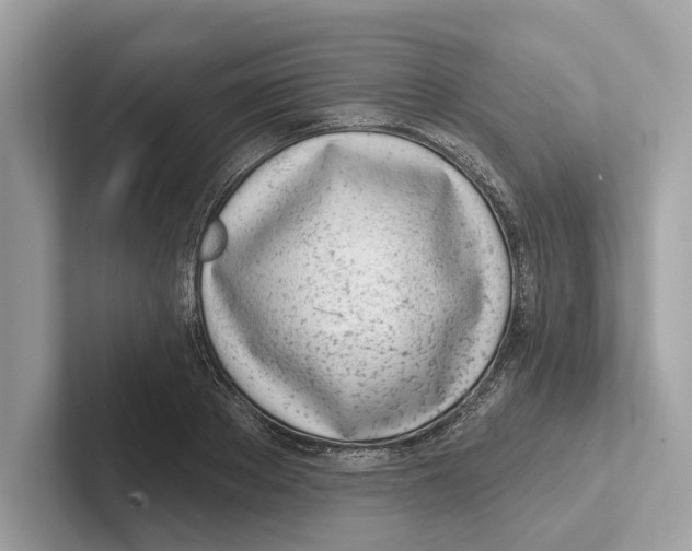 X0000100910889200807220948