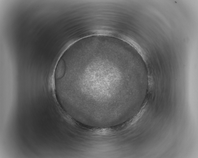 X0000100910891200807220948