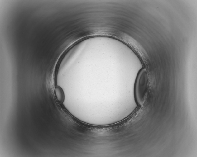 X0000100910892200807220948