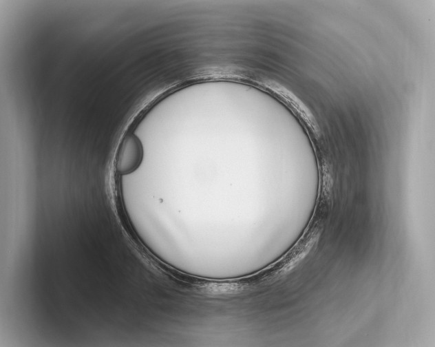 X0000100910893200807220948