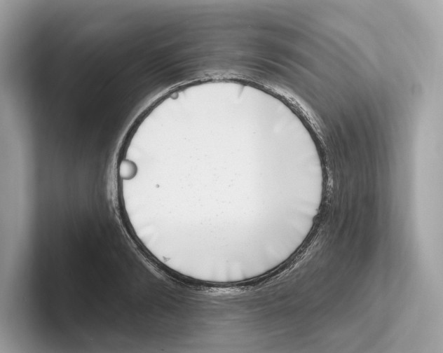 X0000100910894200807220948