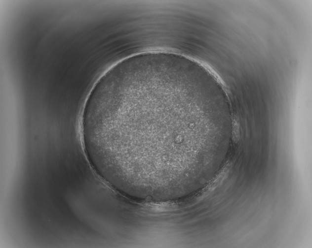 X0000100910895200807220948