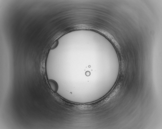 X0000100910897200807220948