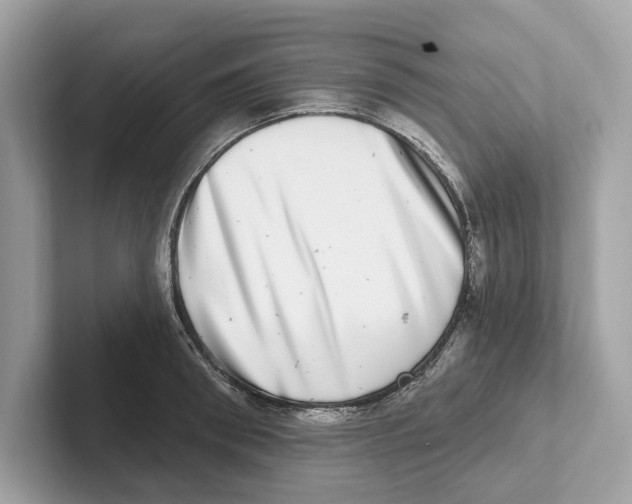 X0000100910898200807220948