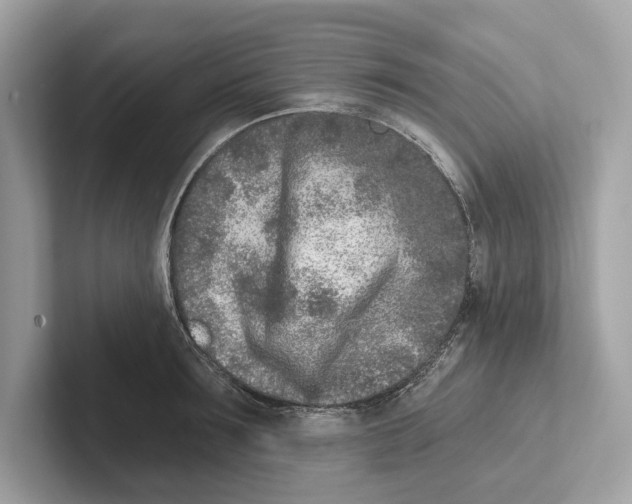 X0000100910899200807220948