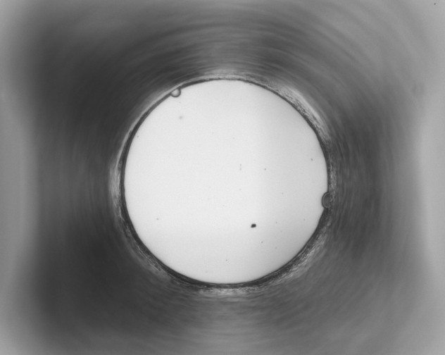 X0000100910900200807220948