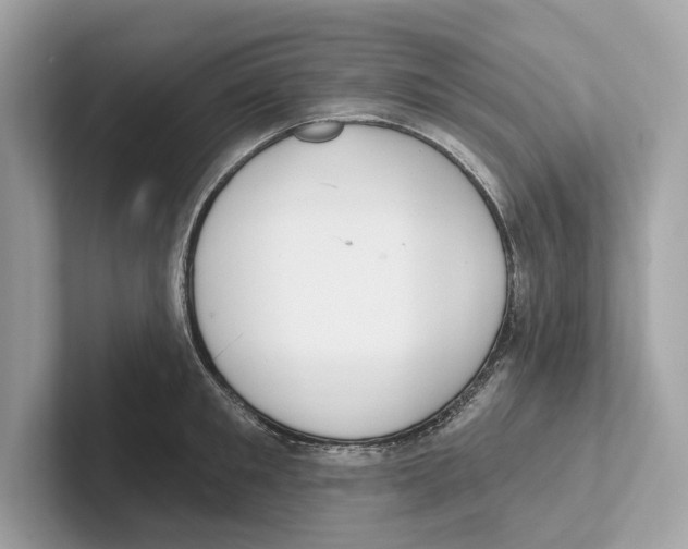 X0000100910901200807220948