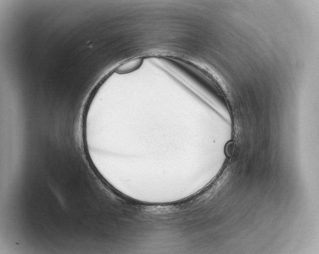 X0000100910902200807220948