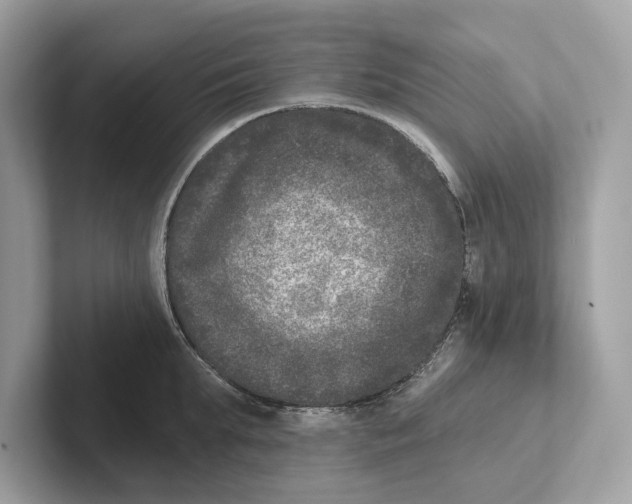 X0000100910903200807220948