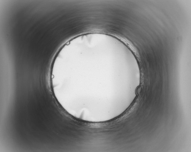 X0000100910904200807220948