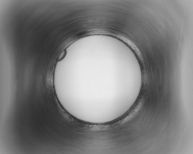 X0000100910905200807220948