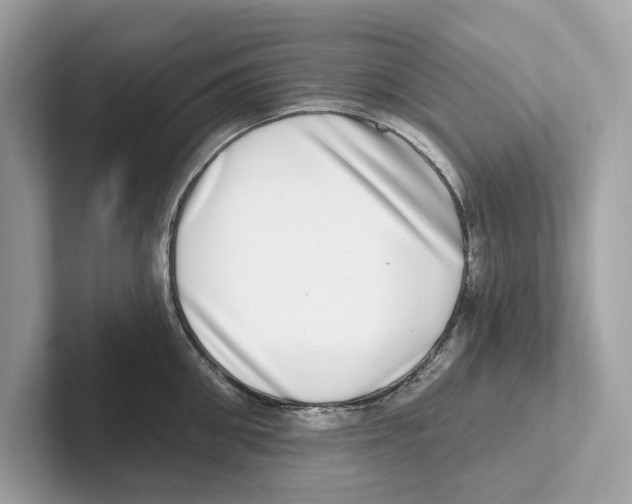 X0000100910906200807220948