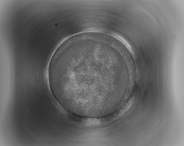 X0000100910907200807220948