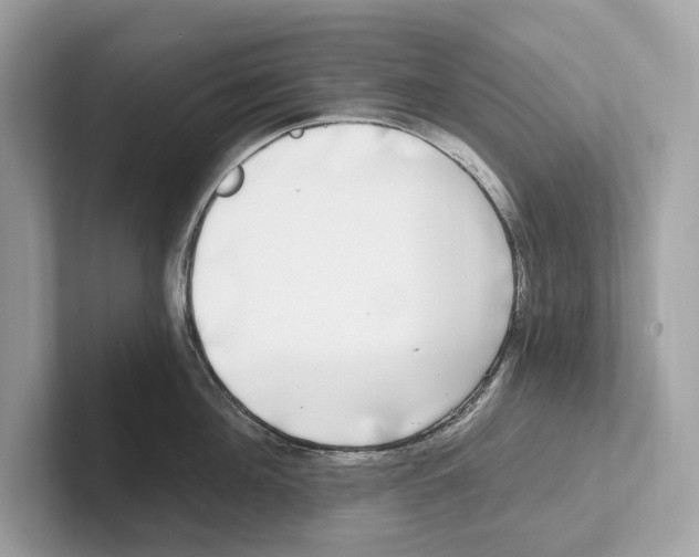 X0000100910908200807220948