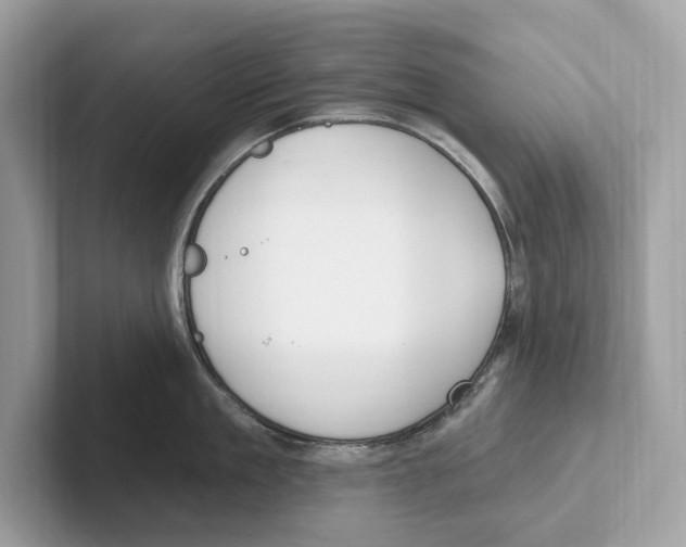 X0000100910909200807220948