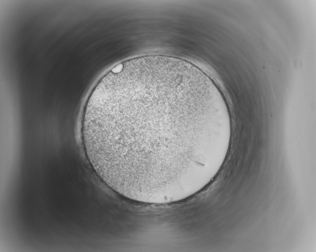 X0000100910912200807220948