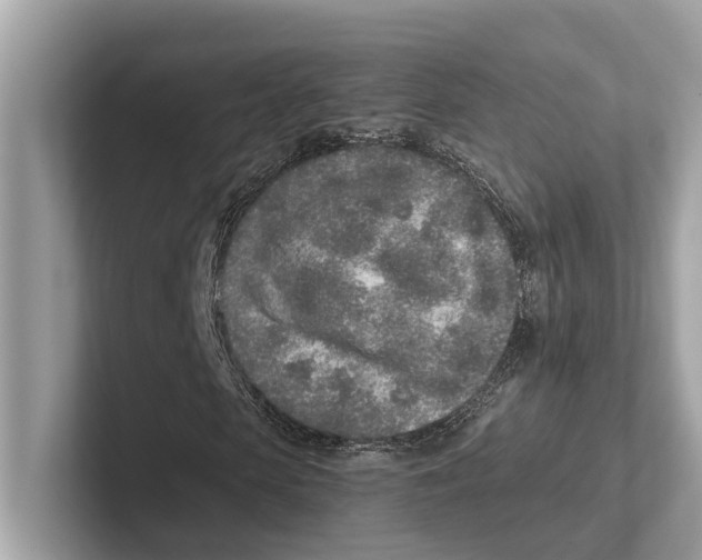 X0000100910913200807220947