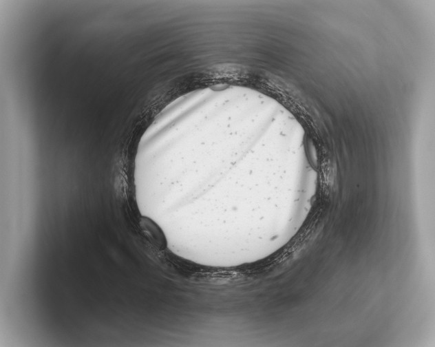 X0000100910916200807220947