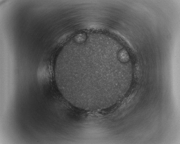 X0000100910918200807220947