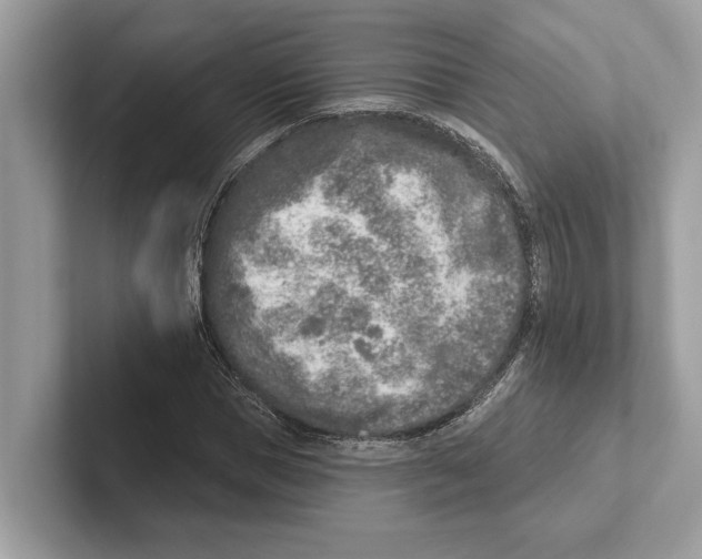 X0000100910921200807220947