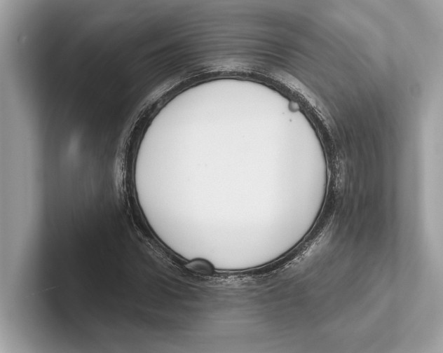 X0000100910922200807220947