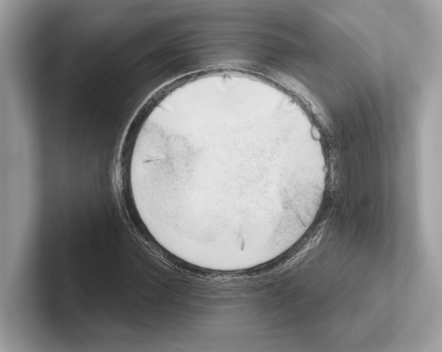 X0000100910924200807220947