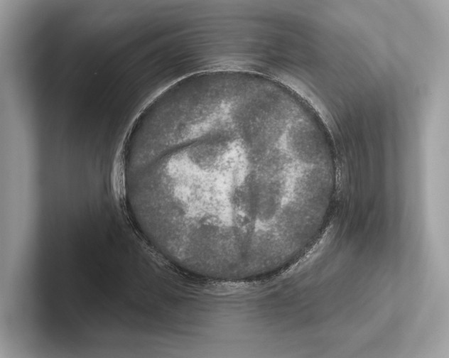 X0000100910925200807220947