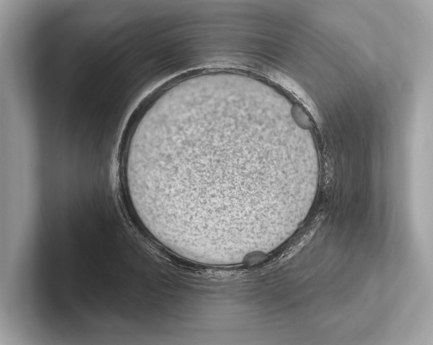 X0000100910928200807220947