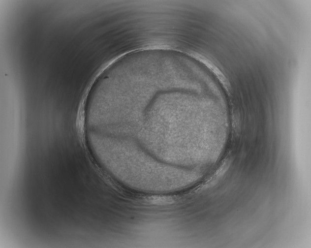 X0000100910933200807220947