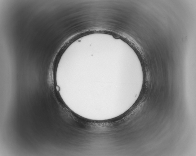 X0000100910934200807220947