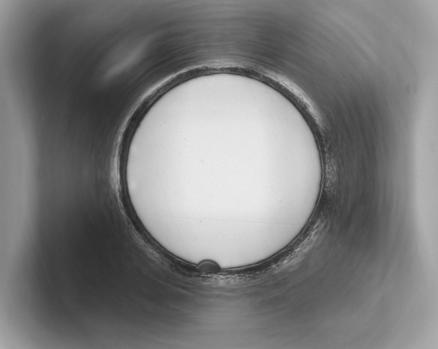 X0000100910935200807220947