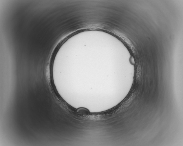 X0000100910936200807220947