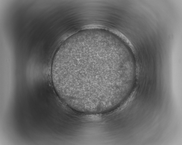 X0000100910937200807220947