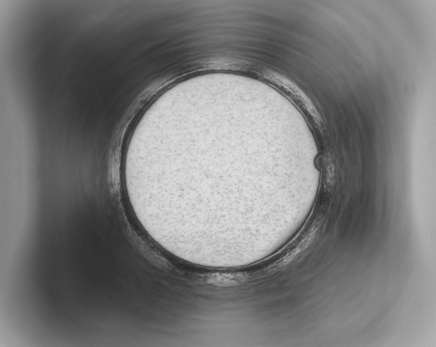 X0000100910938200807220947