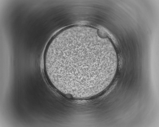 X0000100910940200807220947