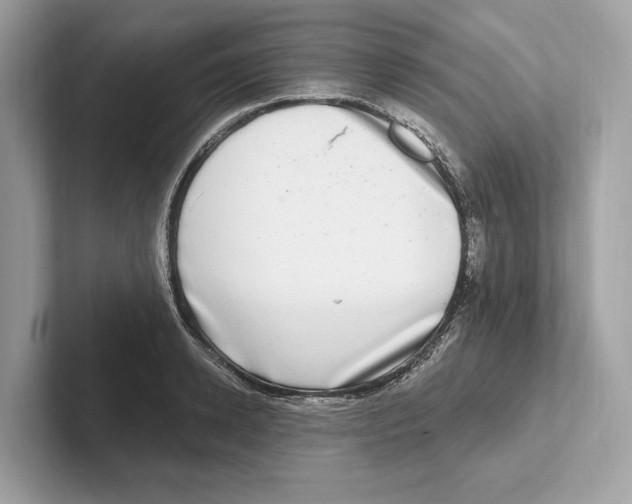 X0000100910942200807220948