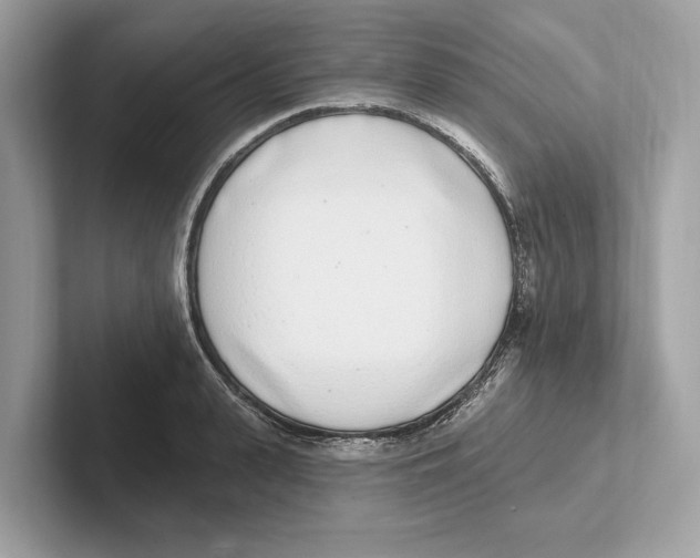 X0000100910943200807220948