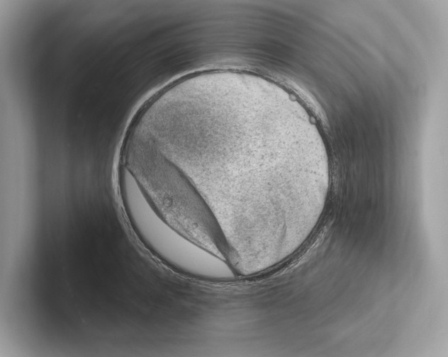 X0000100910944200807220948