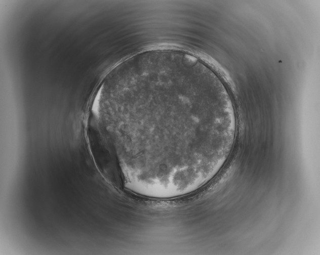 X0000100910945200807220948