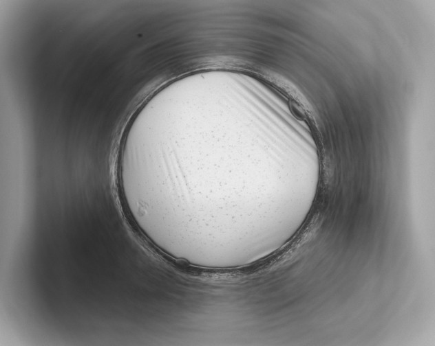 X0000100910946200807220948