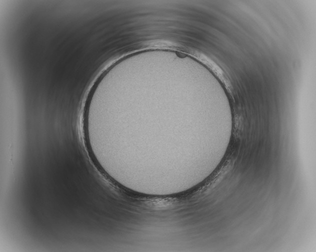 X0000100910947200807220948