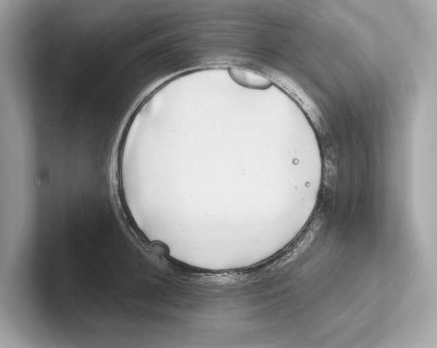 X0000100910948200807220948