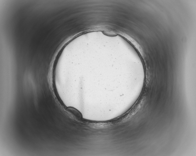 X0000100910949200807220948