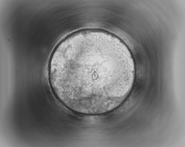 X0000100910950200807220948