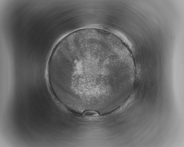 X0000100910952200807220948