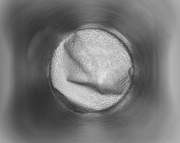 X0000100910953200807220948