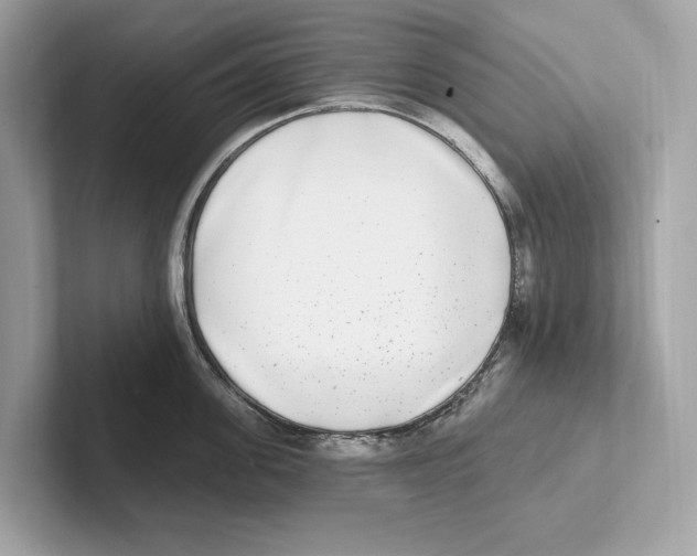 X0000100910955200807220948