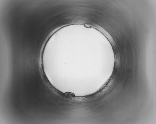 X0000100910956200807220948