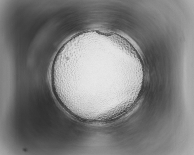 X0000100910957200807220948