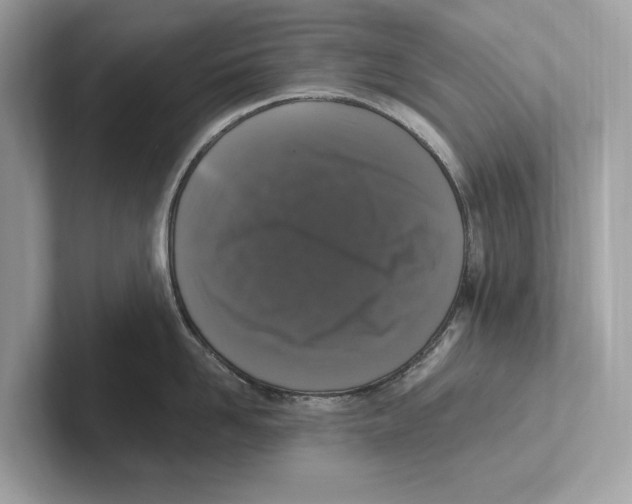 X0000100910958200807220948